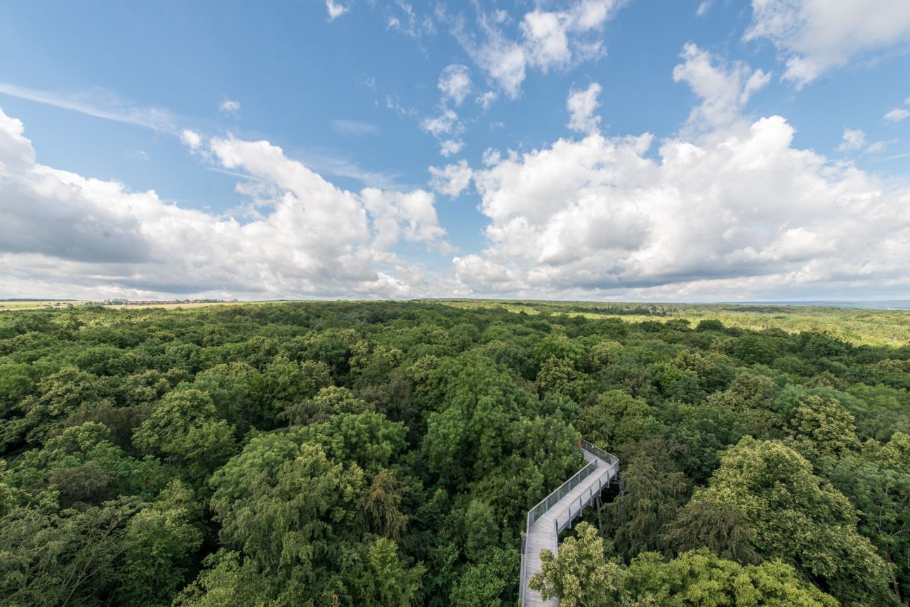 Baumkronenpfad Hainich